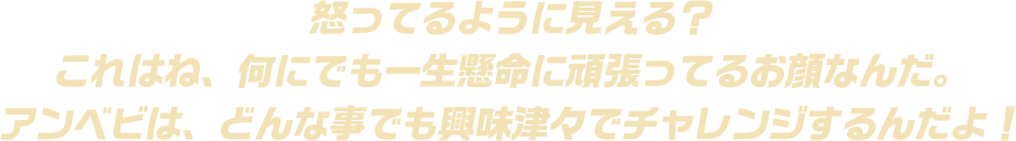 怒ってるように見える？これはね、何にでも一生懸命に頑張ってるお顔なんだ。アンベビは、どんな事でも興味津々でチャレンジするんだよ！